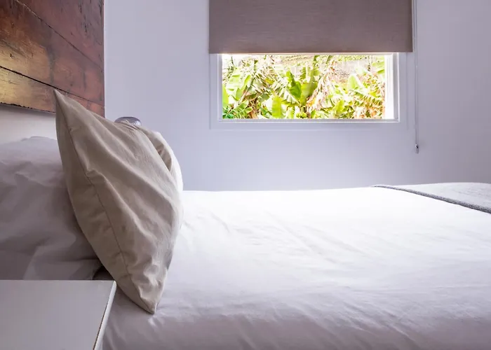 Casa Rai Dejate Sorprender
